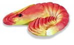 BUTONI  ANIMALE MARINE 